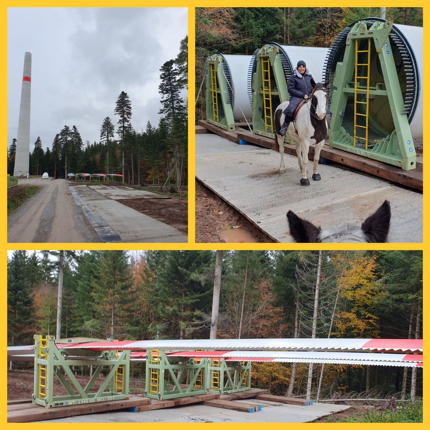 2023 11 November 586